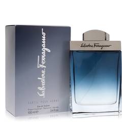 Subtil Eau De Toilette Spray By Salvatore Ferragamo - DAPDOP
