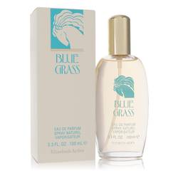 Blue Grass Eau De Parfum Spray By Elizabeth Arden - DAPDOP